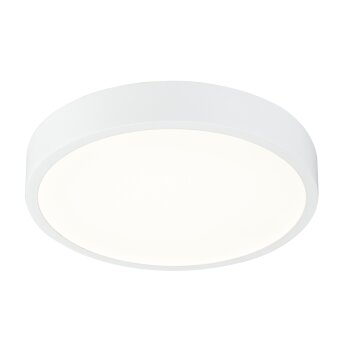 Globo KRULL Ceiling light LED white, 1-light source