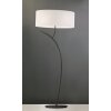 Mantra Eve floor lamp anthracite, 2-light sources