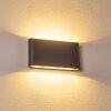 Outdoor Wall Light Tinglev LED anthracite, 2-light sources