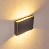 Outdoor Wall Light Tinglev LED anthracite, 2-light sources
