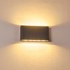 Outdoor Wall Light Tinglev LED anthracite, 2-light sources