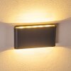 Outdoor Wall Light Tinglev LED anthracite, 2-light sources