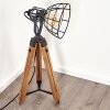 CETONA Floor Lamp Light wood, 1-light source