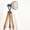 CETONA Floor Lamp Light wood, 1-light source