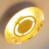 KINOSIS Ceiling Light LED gold, 1-light source
