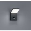 Trio PEARL Outdoor Wall Light LED anthracite, 1-light source, Motion sensor