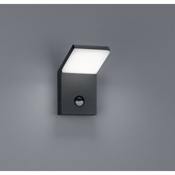 Trio PEARL Outdoor Wall Light LED anthracite, 1-light source, Motion sensor