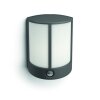 Philips STOCK Outdoor Wall Light LED anthracite, 1-light source, Motion sensor