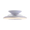 Leuchten-Direkt LEONARD Ceiling Light LED, 1-light source, Remote control