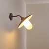 SURNU Outdoor Wall Light brown, rust-coloured, 1-light source