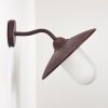 SURNU Outdoor Wall Light brown, rust-coloured, 1-light source