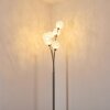 BERNADO Floor Lamp matt nickel, 6-light sources