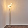 BERNADO Floor Lamp matt nickel, 6-light sources