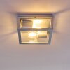 Kiwalik outdoor ceiling light silver, 2-light sources