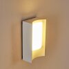 Outdoor Wall Light Lamoliere LED white, 1-light source