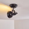 Tina Ceiling Light black, 1-light source