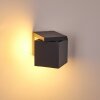 Swanek Outdoor Wall Light LED anthracite, 1-light source