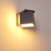 Swanek Outdoor Wall Light LED anthracite, 1-light source