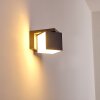 Swanek Outdoor Wall Light LED anthracite, 1-light source