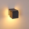 Swanek Outdoor Wall Light LED anthracite, 1-light source