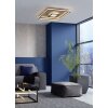 Ceiling Light Fischer & Honsel Bug LED gold, rust-coloured, 1-light source, Remote control