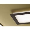 Ceiling Light Fischer & Honsel Bug LED gold, rust-coloured, 1-light source, Remote control
