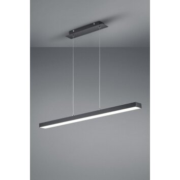 Reality AGANO Pendant Light LED black, 1-light source