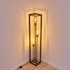 TRARYD Floor Lamp black, 3-light sources