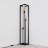 TRARYD Floor Lamp black, 3-light sources