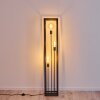 TRARYD Floor Lamp black, 3-light sources