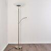 Argostoli Floor Lamp LED matt nickel, 2-light sources