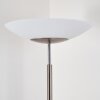 Argostoli Floor Lamp LED matt nickel, 2-light sources