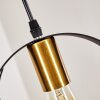 Pendant Light Leentje black-gold, 1-light source