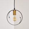 Pendant Light Leentje black-gold, 1-light source