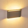 Outdoor Wall Light Tinglev LED grey, 2-light sources
