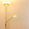 Biot uplighter LED brass, 2-light sources
