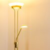Biot uplighter LED brass, 2-light sources