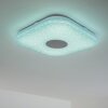 NUTAK Ceiling Light LED white, 1-light source, Remote control, Colour changer