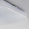 NUTAK Ceiling Light LED white, 1-light source, Remote control, Colour changer