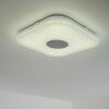 NUTAK Ceiling Light LED white, 1-light source, Remote control, Colour changer