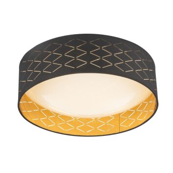 Globo DRUM Ceiling light LED white, 1-light source