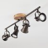 SKODSBOL Ceiling Light grey, light brown, brushed steel, 4-light sources