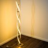 Paul Neuhaus POLINA floor lamp LED stainless steel, 2-light sources