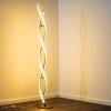Paul Neuhaus POLINA floor lamp LED stainless steel, 2-light sources