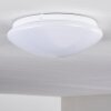 Brighton Ceiling light LED white, 1-light source, Remote control, Colour changer