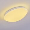 Brighton Ceiling light LED white, 1-light source, Remote control, Colour changer