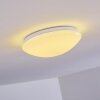 Brighton Ceiling light LED white, 1-light source, Remote control, Colour changer