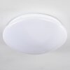 Brighton Ceiling light LED white, 1-light source, Remote control, Colour changer