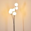 BERNADO Floor Lamp matt nickel, 6-light sources