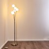 BERNADO Floor Lamp matt nickel, 6-light sources